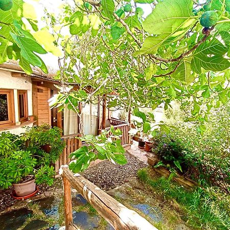 El Encanto Monachil Dış mekan fotoğraf