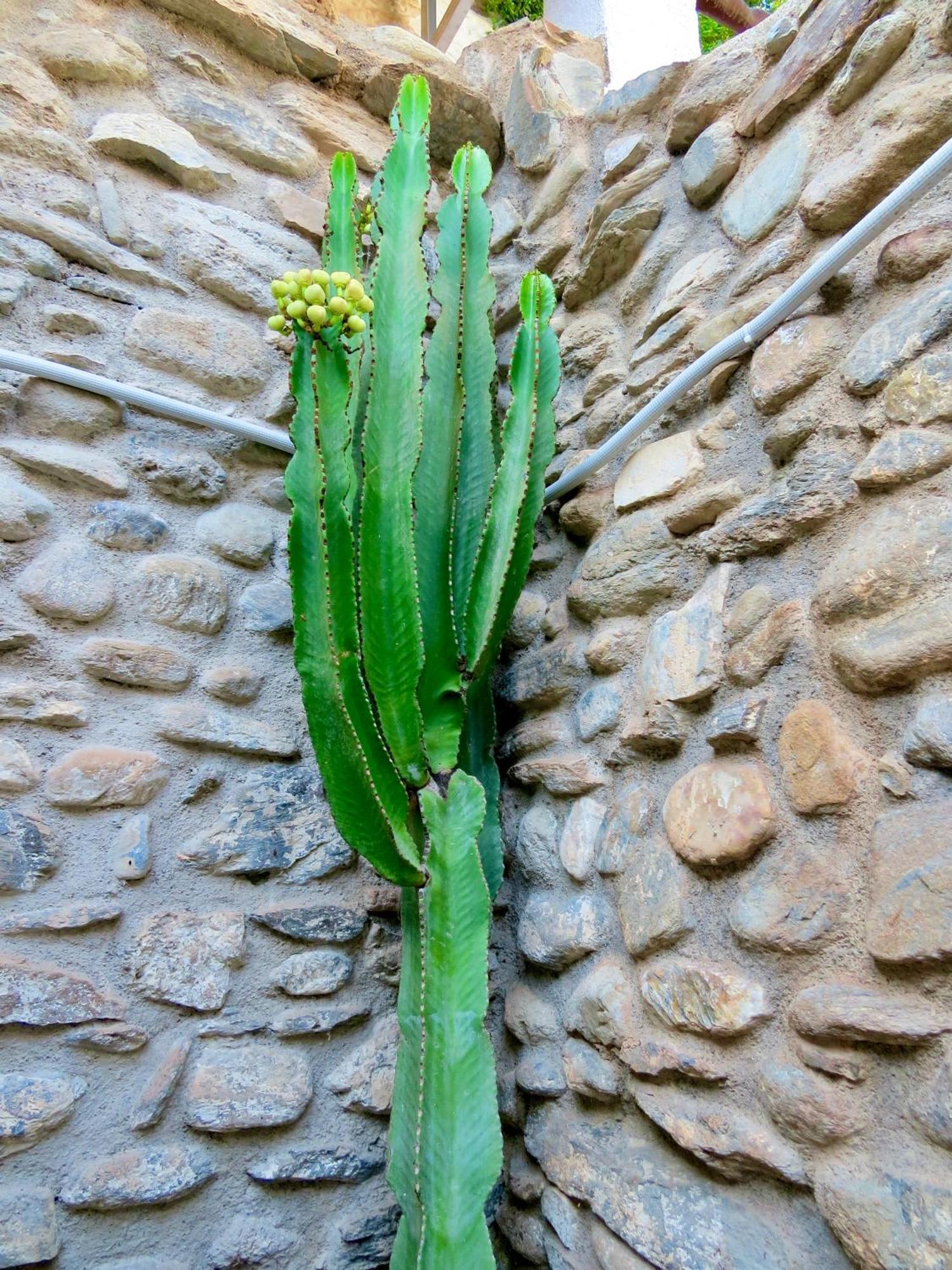 El Encanto Monachil Dış mekan fotoğraf