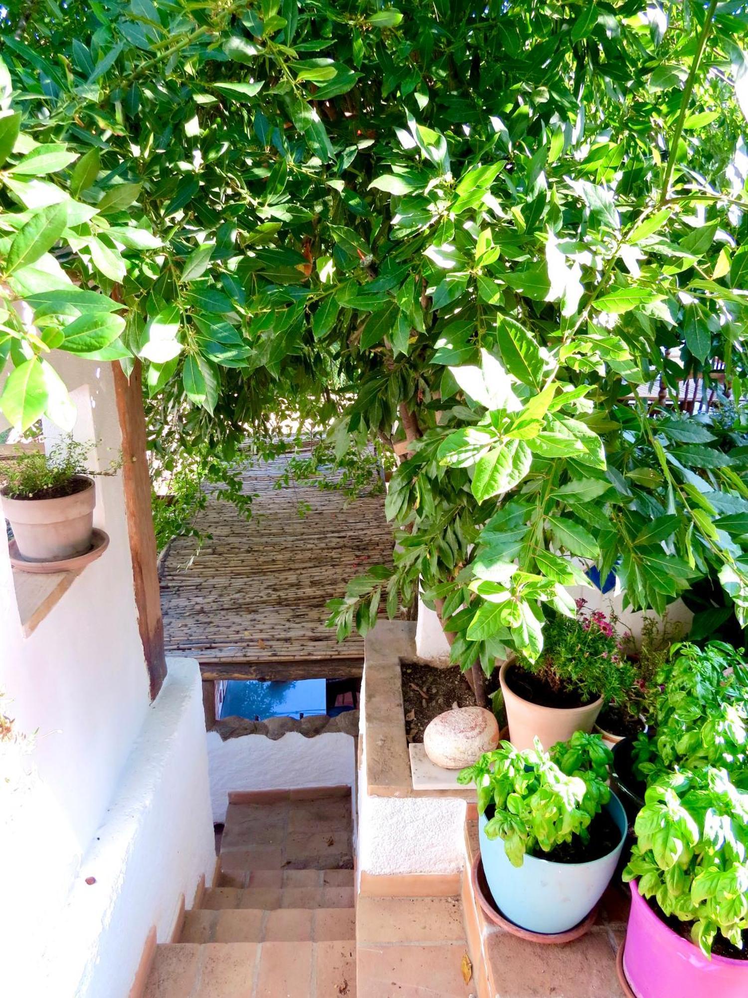 El Encanto Monachil Dış mekan fotoğraf